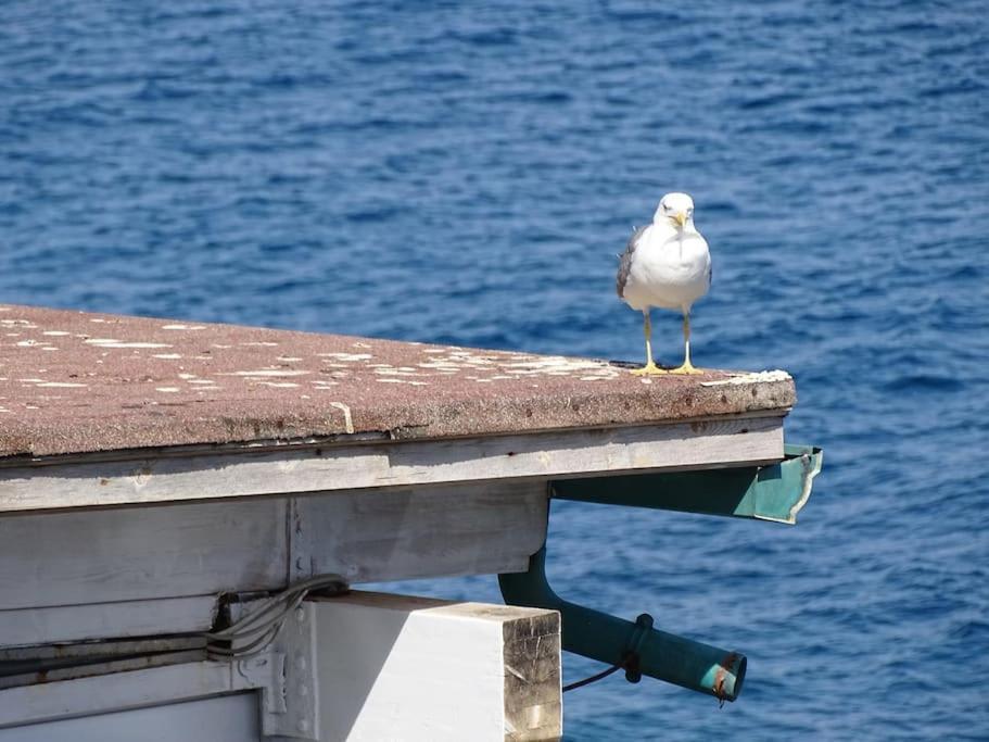 Casa Vela Villa Cefalu Bagian luar foto